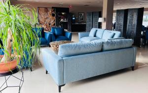 Hotel Ignacio - PalomarGroup