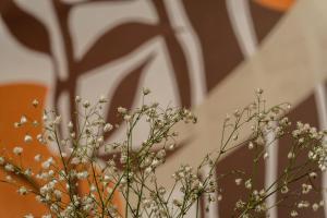 Elegant Suite - Neo Psychiko