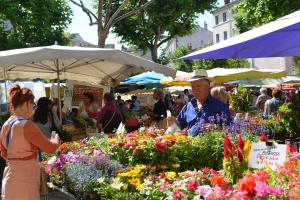 Appartements Souplex - Centre - Terrasse - Clim : photos des chambres