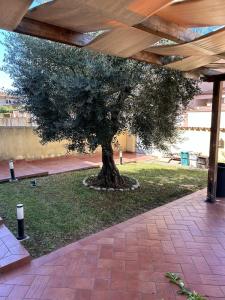 Villa Letizia - Sabaudia