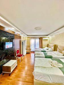 Hagia Sophia Apartment