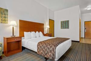 King Room with Roll-in Shower - Mobility Accessible/Non-Smoking room in Best Western Liberty Inn