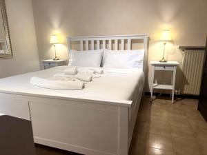Dream Stay Nettuno