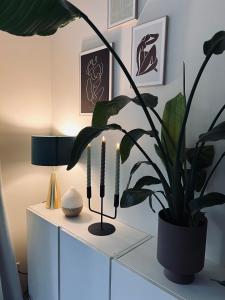 Green Escape Hellendoorn