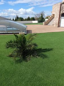 Appartements Villa Les Grenadines ETAGE : photos des chambres