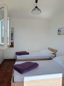 Appartements Villa Les Grenadines ETAGE : photos des chambres