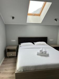 Roua Ilvei INN