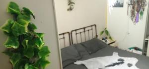 Gascona con Deli - Ubytování bez kategorie ve městě Oviedo