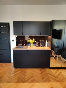 Apartamenty River View