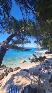 Sunset Luxury Apartment Hvar