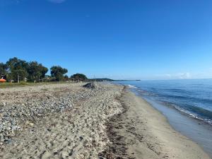 Maisons de vacances A CASA DI SPIAGGIA : photos des chambres