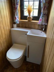 Shepherd Hut Lodge on Farm Waterside Goodwin Farm