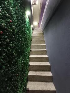 aptos turisticos miss joys