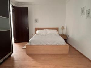 Condesa Residence Campeche 2 Spacious Ground-Level Apartment in the Heart of Condesa