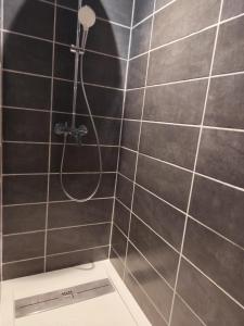Appartements Le Refuge des Tanneurs : photos des chambres
