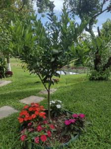 Cantinho da nona Nova Trento SC