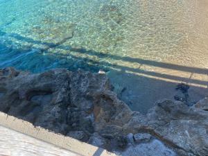 Il Boschetto sul Mare - Goelba