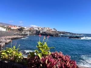 Near the Sea ALCALA 2 bedroom