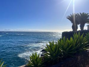 Near the Sea ALCALA 2 bedroom