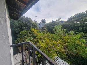 Aparta estudio campestre