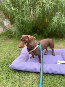Bungalow a metros del centro