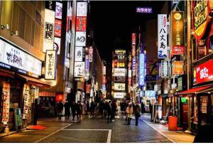 Comma House Nishi-Ikebukuro 301