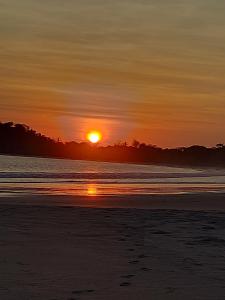 House in the palm forest