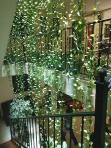 Hotel Tradicional Savaro SA de CV