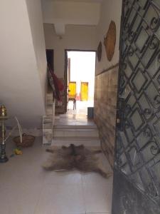 Mourad morsy مراد