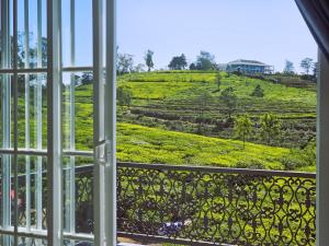 Private Villa by the Tea Estate