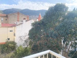 Appartements Studio ensoleille en centre-ville, animaux admis - FR-1-703-206 : photos des chambres