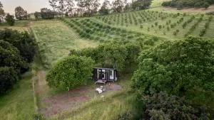 Tiny House Elevation 152 by Tiny Away - Curra