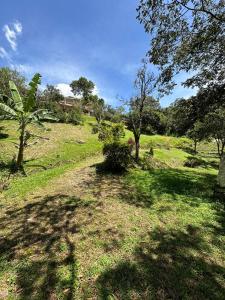 ENTRE LOMAS GLAMPING - Finca el Reposo