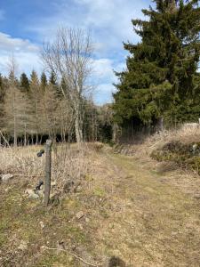 Auberges Gite d-etape La Traverse : photos des chambres