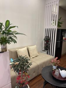 Studio Masteri Oceanpark