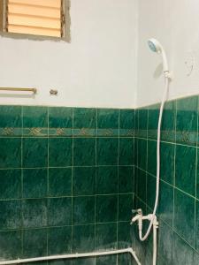 Olympia Travellers INN