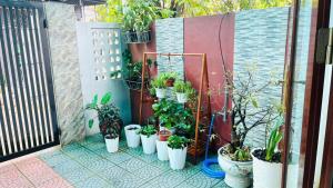 Vangs Homestay - Huế
