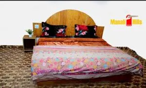 Manali Hills House - Tāndi