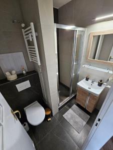 Apartmán Filip wellness,krytý bazén