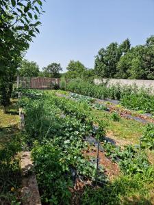 Charming village house with pool