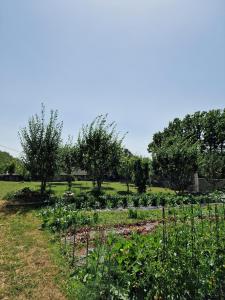 Charming village house with pool