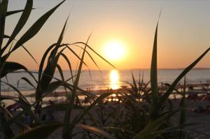 By the beach in South Andalucia