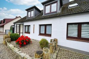 Arche Noah - Haus am Meer Wohnung Koog