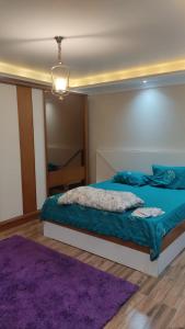 Fully furnished apartment for rent