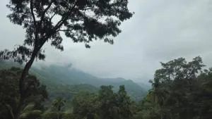 Mandara - Badulla