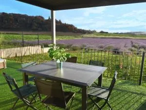 Les Lavandes - Idéalement Située Gde et Belle Maison au Calme - Salle de Jeux - Belle Vue Lavandes et Montagnes - Tout confort - Ancône