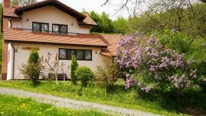 Pensiunea Ioana - Calea Lată