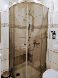 Miera iela studio apartment