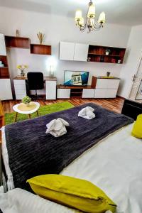 Cozy Studio in Downtown Bucharest