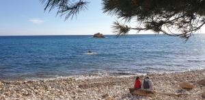Maisons de vacances Maison 4/6 pers avec piscine proche des plages : photos des chambres